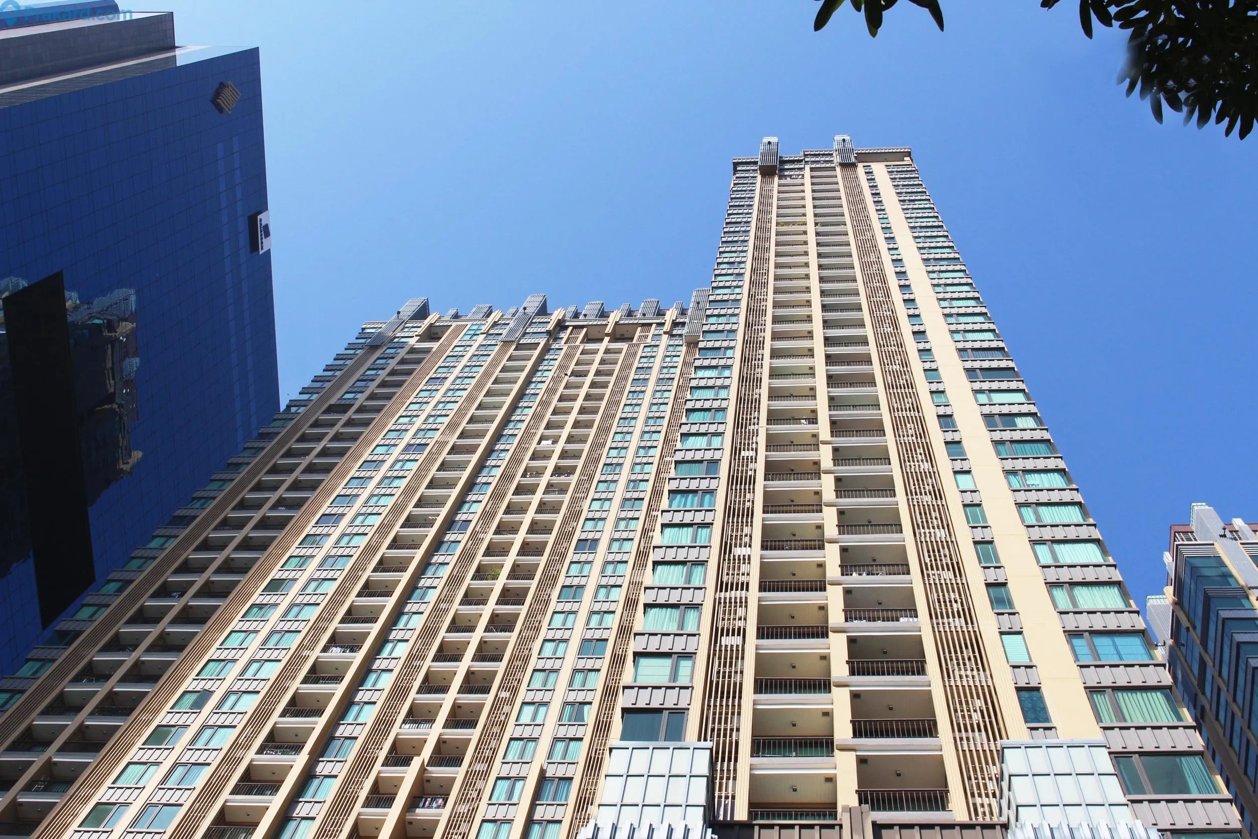 Equinox Phahol-Vibha two bedroom apartment for rent